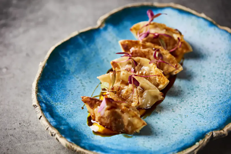 Five fried dumplings topped with red onions and sauce on a blue plate
