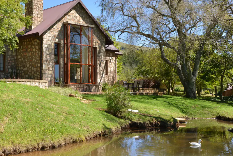 Stone cottage with large windows beside pond with swan, surrounded by green lawn and trees
