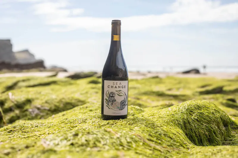 Chamisal Sea Change wine bottle on green mossy rocks at beach with ocean backdrop
