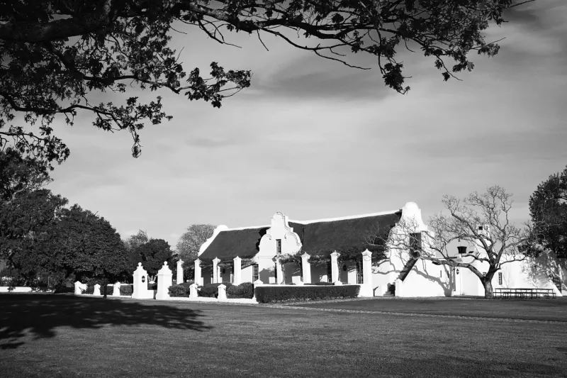 Black-and-white photo of Vergenoegd Löw Wine Estate gallery, Cape Dutch building with thatched roof, tombstones, trees, and lawn.