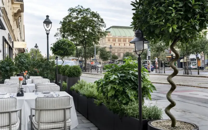 Outdoor café terrace in Vienna with white tables, flowers, potted plants, ornate lamps, historic green-domed building, and tram tracks.