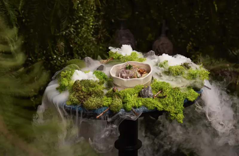 White bowl of meat stew on mossy table with fog, ferns, and statues in enchanted forest setting