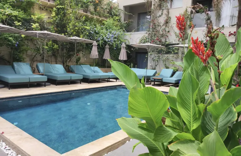 Close-up of red ginger flowers and green leaves framing turquoise poolside with loungers at a lush resort spa in Malta