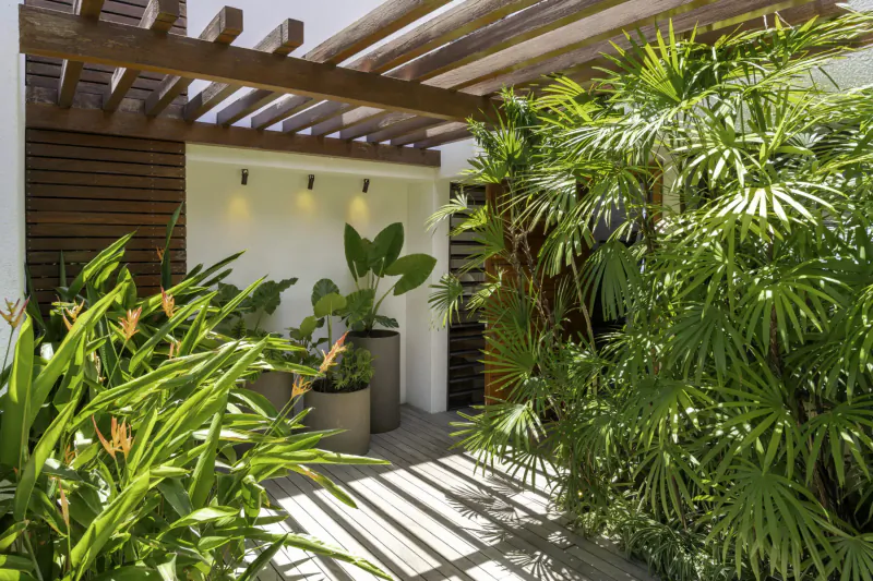 Tropical wooden pergola entrance to luxury villa with lush palms, potted plants, and warm wall lights