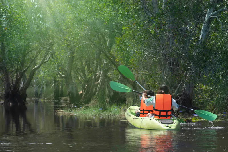 Two people in orange life jackets paddle a yellow kayak through lush green swamp waters amid trees.