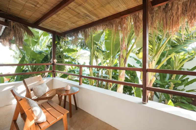Cozy wooden chairs with cushions on a tropical resort balcony overlooking lush green palms, thatched roof.