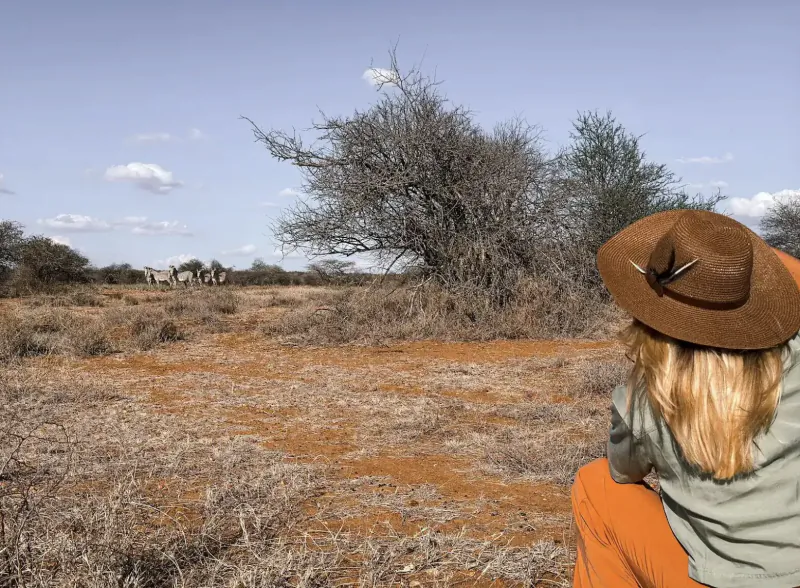Blonde woman in brown hat and green shirt sits on orange pants, viewing elephants and acacia trees on African savanna