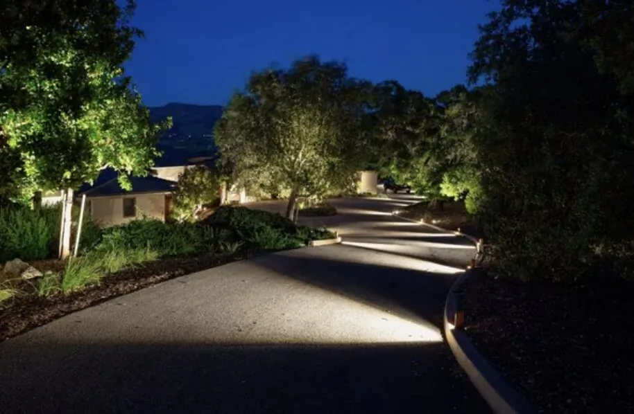 Nighttime view of winding driveway lined with illuminated trees, shrubs, and modern houses in landscaped yard