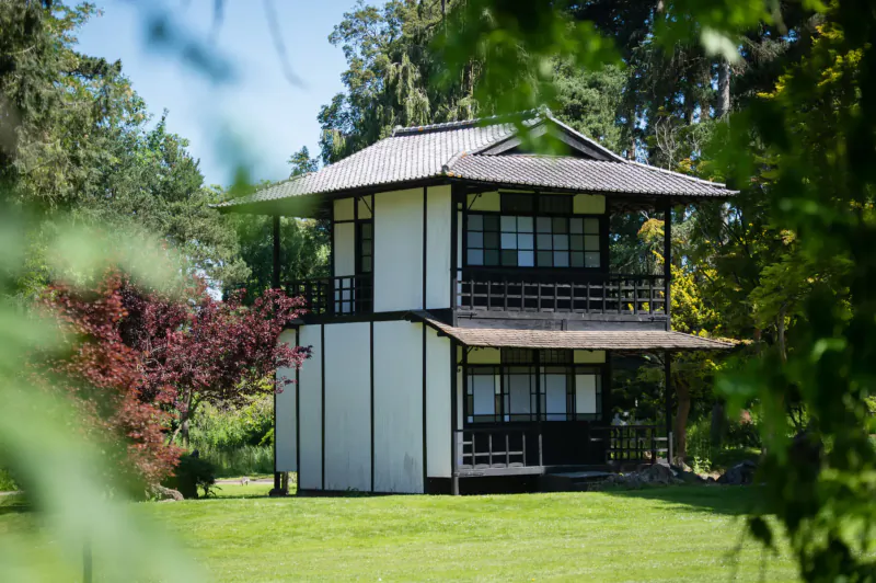 Traditional Japanese-style two-story house with white walls, dark wood, and tiled roof in lush green garden with red maple trees.