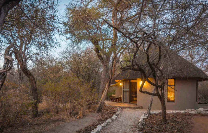 Thatched rondavel at Onguma near Etosha National Park, warmly lit at dusk amid acacia trees and bushveld path.