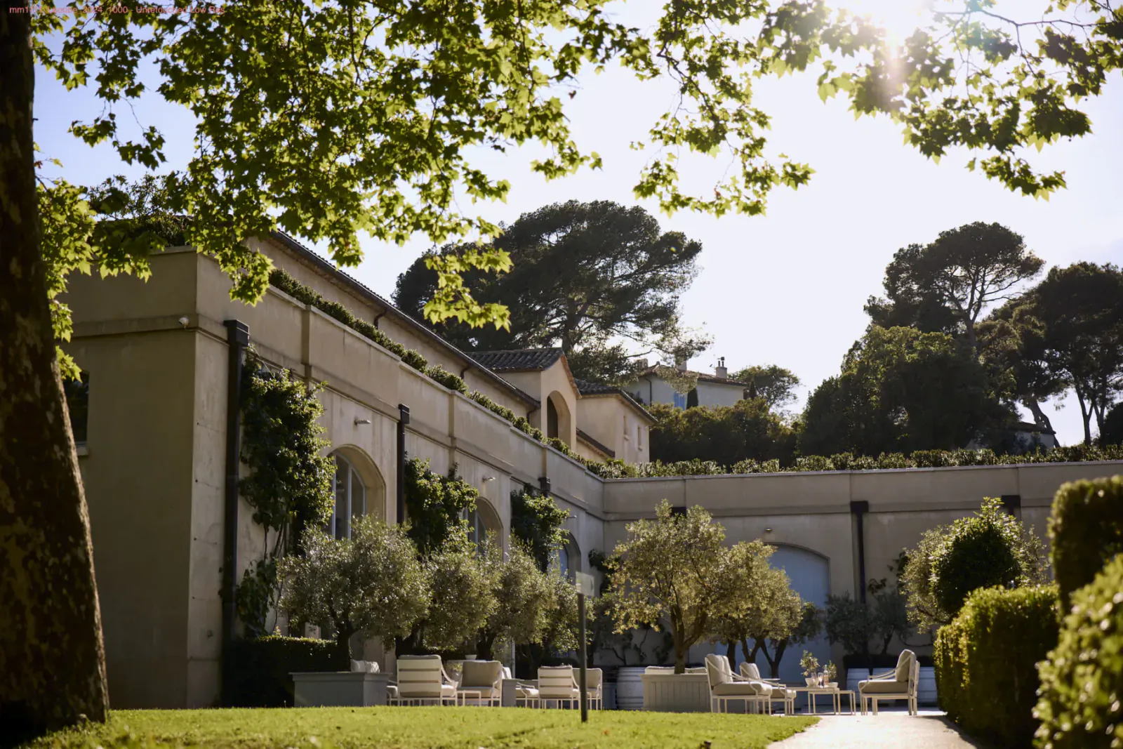 Sunny view of Léoube Estate: beige mansion with arched windows, olive trees, white chairs in lush gardens amid pines.