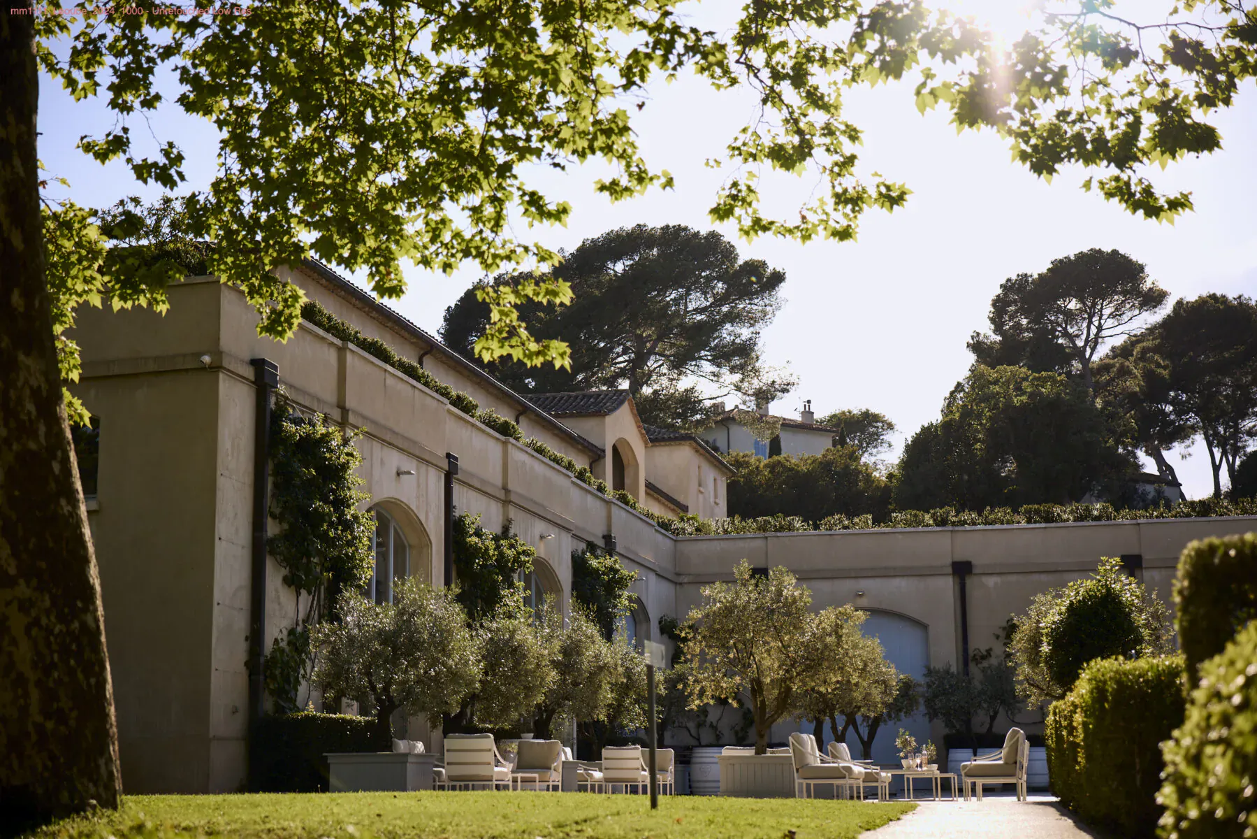 Sunny view of Léoube Estate: beige mansion with arched windows, olive trees, white chairs in lush gardens amid pines.