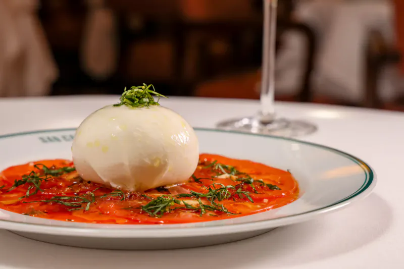 San Carlo Italian restaurant dish: burrata with tomato sauce and herbs on white plate, wine glass beside