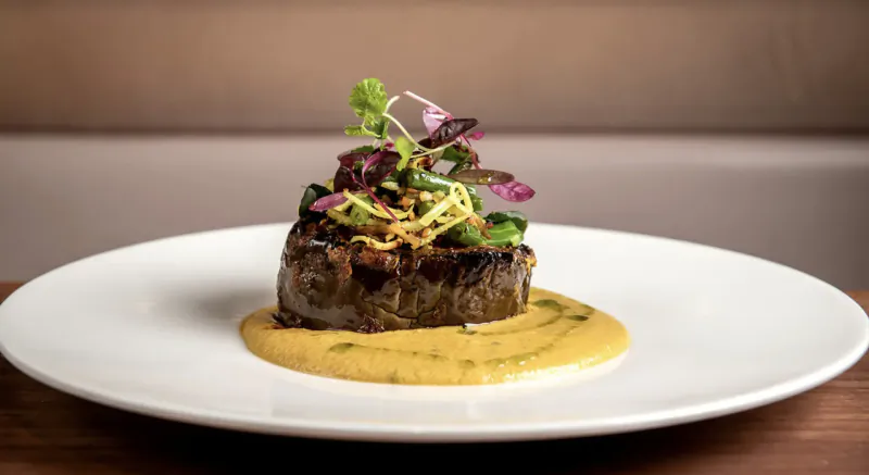 Seared eggplant steak topped with microgreens and herbs on yellow sauce, plated elegantly