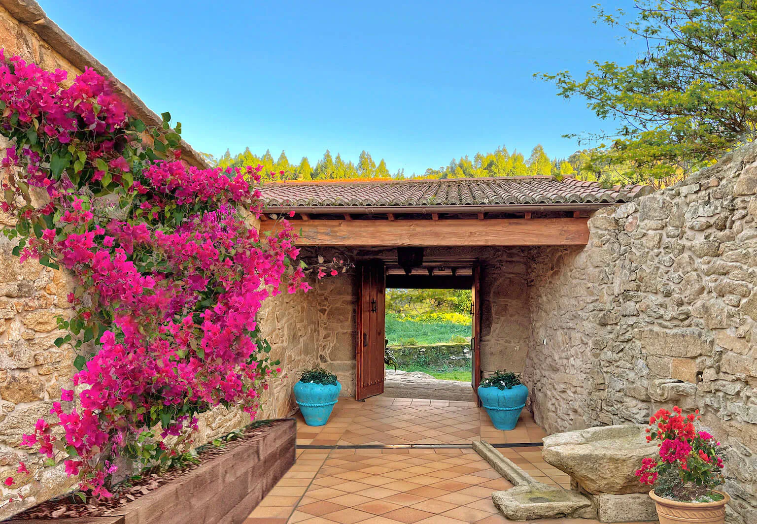 Stone archway entrance at wellness retreat, vibrant pink bougainvillea on walls, blue pots, tiled path to green field under blue sky