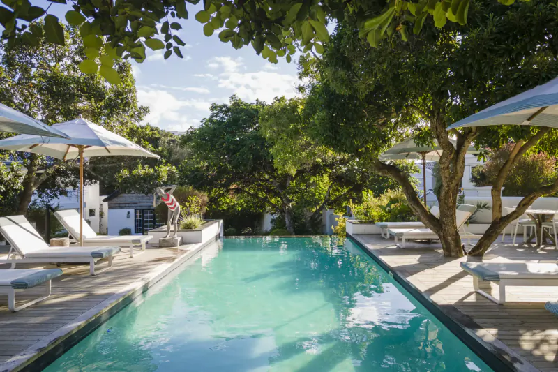 Infinity pool at The Old Rectory Hotel & Spa, surrounded by lush trees, white umbrellas, loungers, and blue sky.