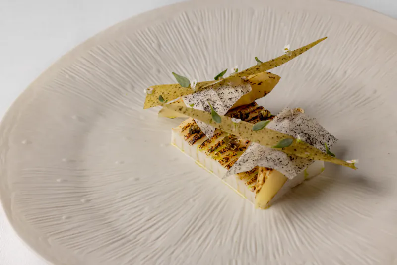Grilled white fish with yellow sauce, herb sprigs, and crispy garnishes on textured white plate