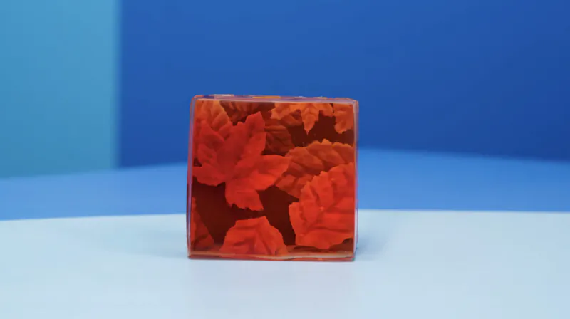 Square translucent block with embedded orange maple leaves on blue surface