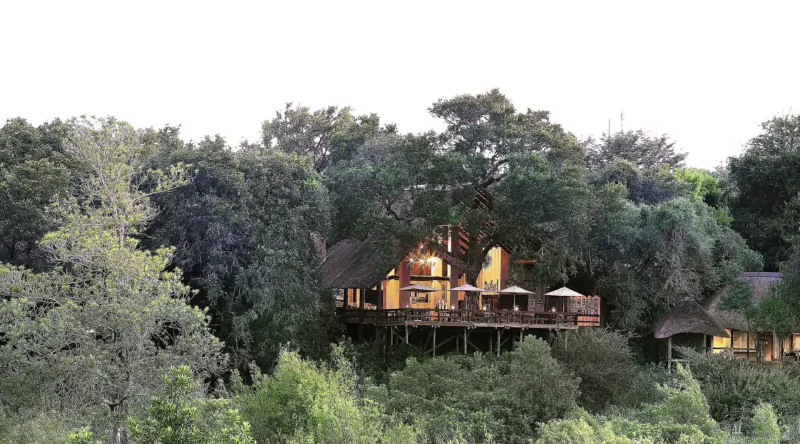 Elevated thatched treehouse lodge with lit interior and umbrellas on deck, nestled in lush savanna trees at dusk.
