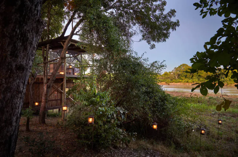 Elevated wooden treehouse cabin with lanterns amid lush greenery and riverbank at dusk, Mfuwe Lodge