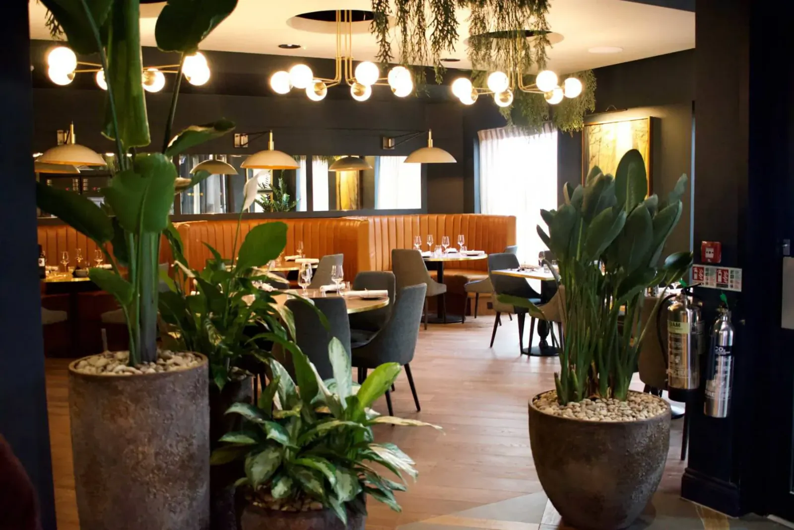 Contemporary Hotel Indigo Chester dining area with potted palms, pendant lights, velvet booths, and tables.