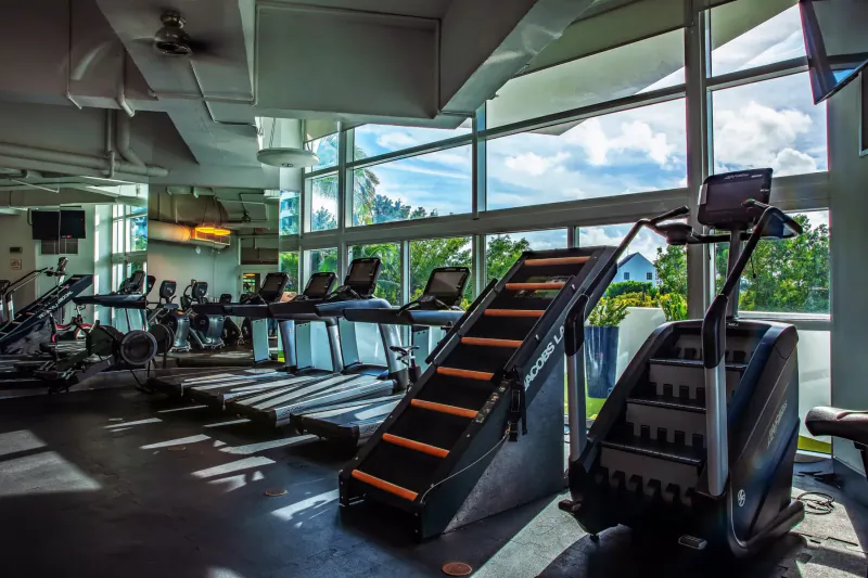 Spacious modern gym with treadmills, stair climbers, and ellipticals by large windows overlooking greenery.