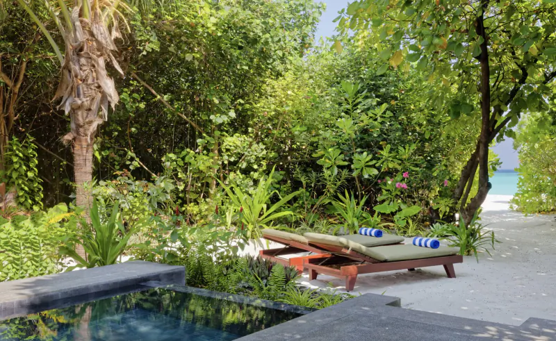 Luxury Maldives villa pool with two loungers, blue towels, lush tropical garden, palm trees, and beach beyond