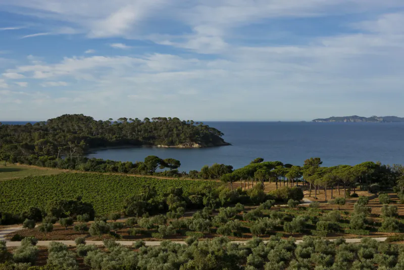 Aerial view of Léoube Estate: lush vineyards, olive groves, pine forests, bay, and Mediterranean Sea.