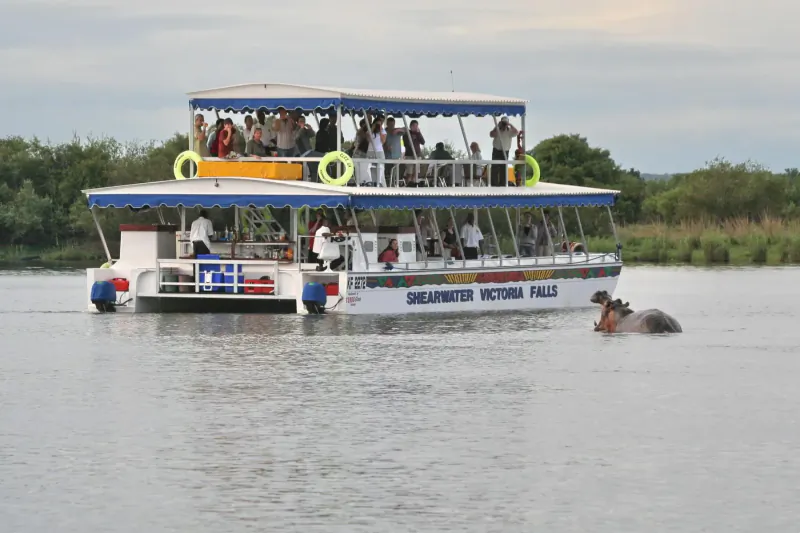 Dreamcatcher Victoria Falls tour boat with passengers on river near hippo, surrounded by reeds.