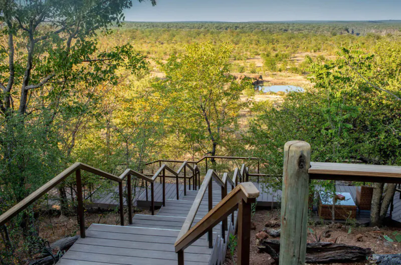 Wooden staircase descending from treetop overlook to vast African savanna with acacia trees, waterhole, and distant elephants at Old Drift Lodge