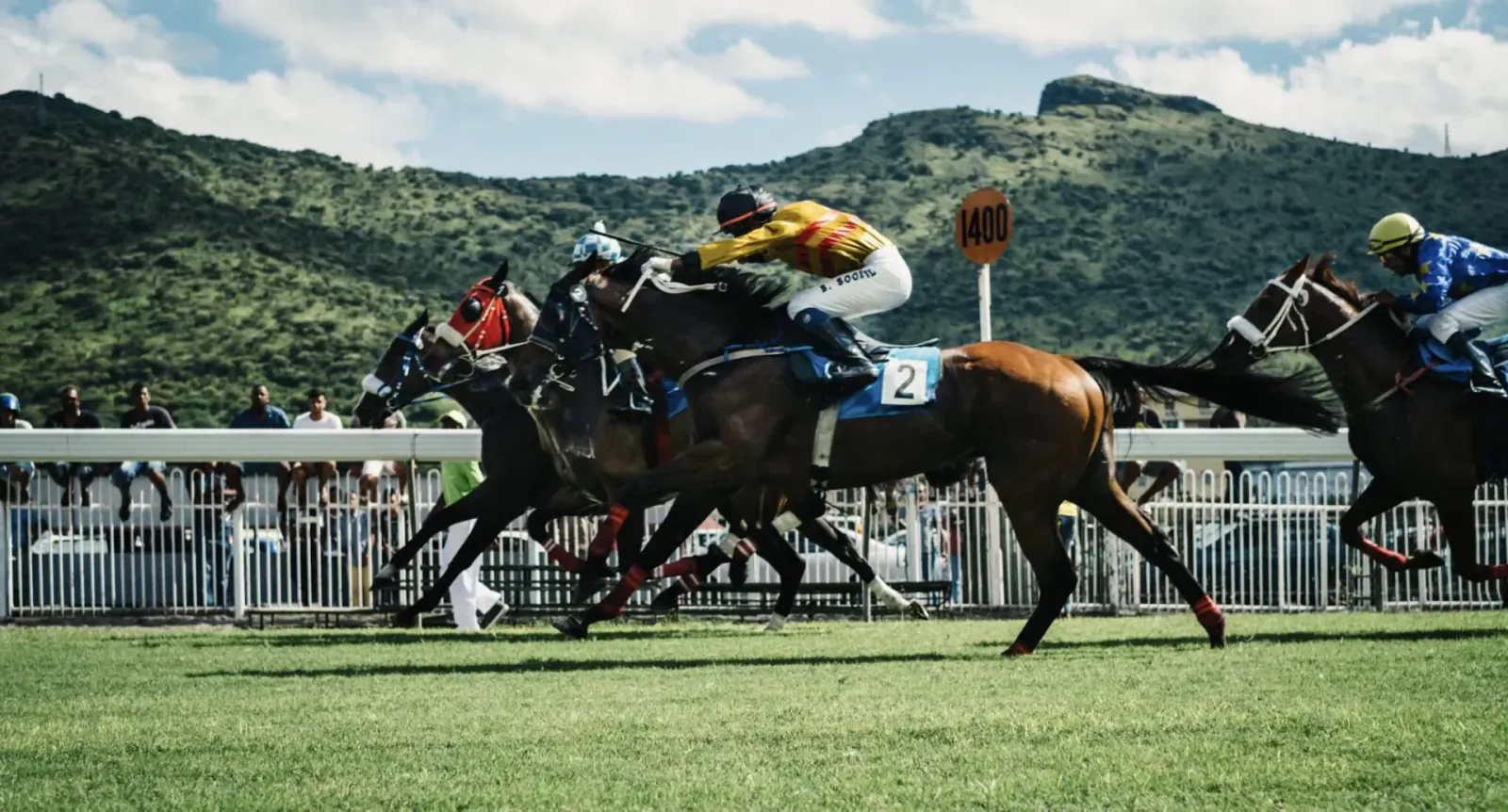 Horses and jockeys racing neck-and-neck on turf track with green mountains in background.