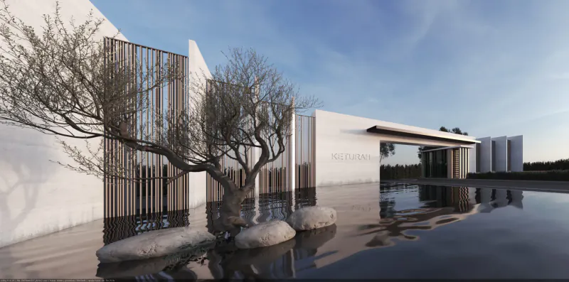 Modern white architectural entrance with olive trees, wooden screens, rocks, and reflecting pool under blue sky
