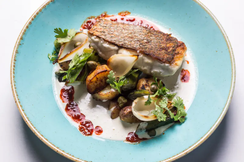 Pan-seared sea bass with clams, roasted mushrooms, cilantro, on blue plate with cream and red sauce