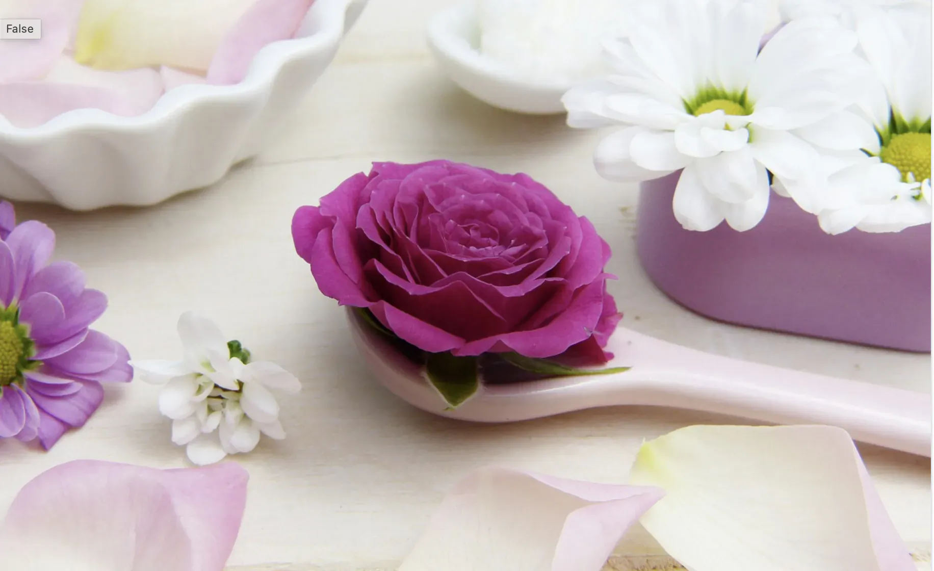 Pink rose on pink spoon amid white daisies, petals, and bath salts on table