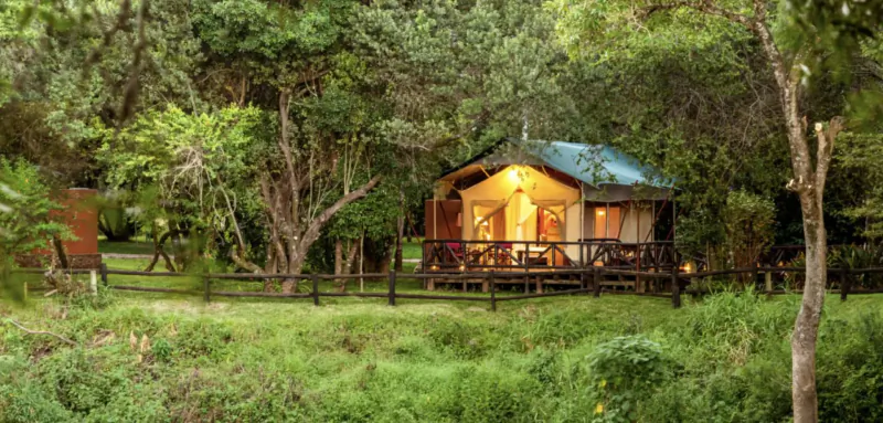 Lit canvas tent on wooden deck in lush green safari surroundings at Fairmont Mara Safari Club