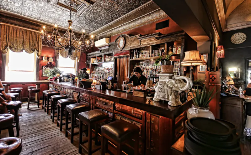 Vintage Kloof Street bar in Cape Town with ornate ceiling, bartender behind wooden counter, white elephant statue, lamps, and plants.