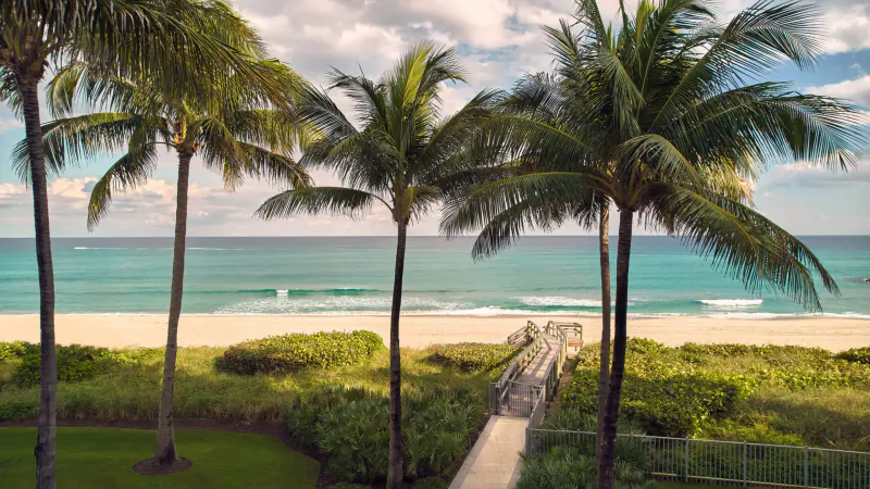 Palm-lined beach path leading to turquoise ocean waves under partly cloudy sky, Palm Beaches