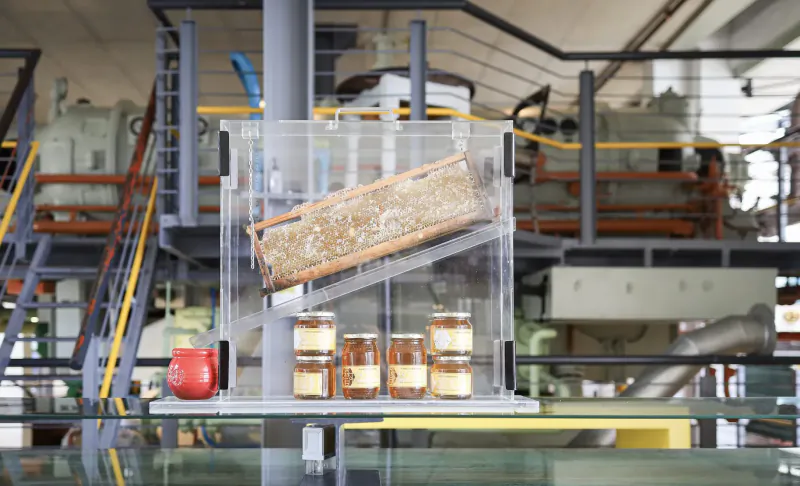 Honeycomb in clear case with jars of honey on table in industrial power station hotel setting