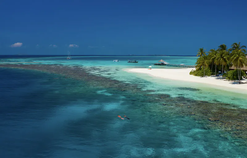 Aerial view of Mirihi Island Resort: turquoise lagoon, coral reef, kayaker, white beach, palm trees, and overwater bungalows.