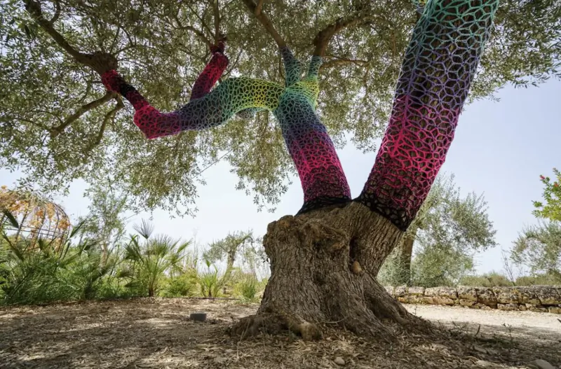 Olive tree wrapped in vibrant rainbow crochet yarn at Zahir Country House, Sicilian garden setting