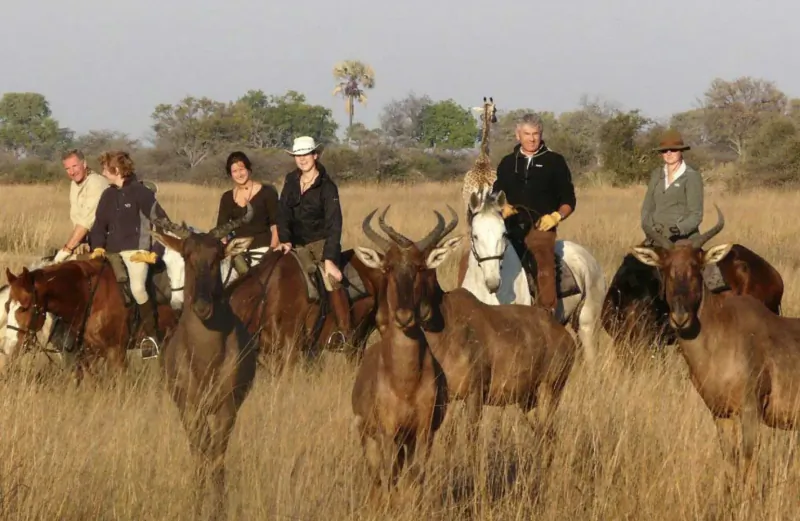 Group of riders on horseback with impala antelopes in African savanna grassland during safari