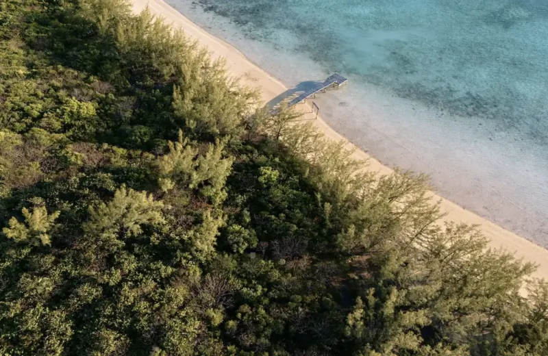 Aerial view of Lot 43 Bottom Harbour Beachfront: lush green mangroves lining white sand shore and turquoise waters, Bahamas.