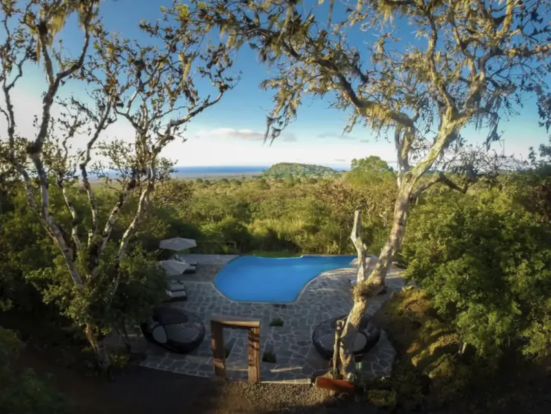 Luxury infinity pool framed by mossy trees, overlooking lush green valley and ocean horizon.