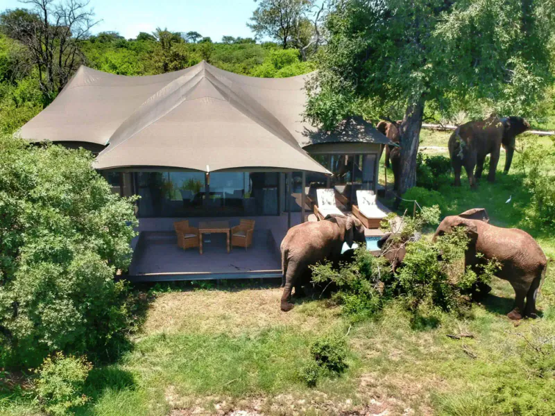 Luxury tented lodge on riverside with deck chairs and table; elephants grazing nearby in lush savanna.