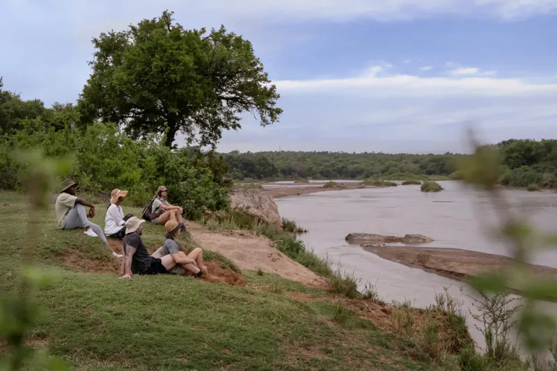 Group of people relaxing on grassy riverbank under trees, overlooking the Sashwa River in wilderness landscape
