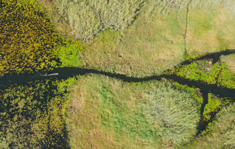 Aerial view of a small boat on a winding river through lush green and yellow wetlands of Bangweulu.