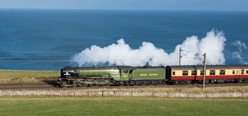 Green A4 steam locomotive pulling yellow coaches along coastal track with ocean view, emitting steam