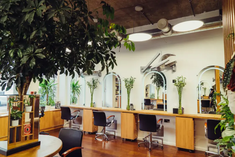 Modern empty hair salon with wooden chairs, mirrors, potted plants, and large tree in bright interior