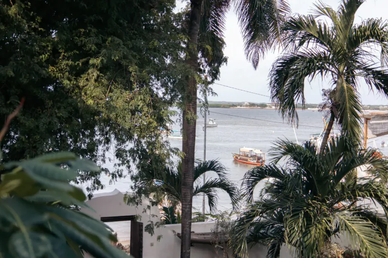 Serene view from Kijani Hotel, Lamu Island: lush palms frame calm bay with boats and distant shore.