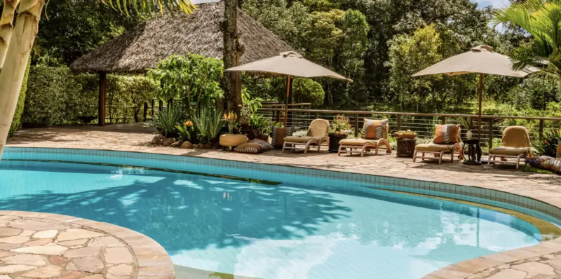 Fairmont Mara Safari Club infinity pool with loungers, thatched cabanas, umbrellas amid lush tropical greenery.